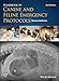 Handbook of Canine and Feline Emergency Protocols