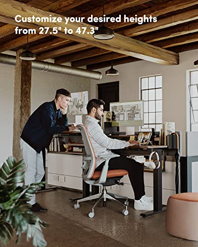 Banti 48"X24" Standing Desk Adjustable Electric Height With Monitor Stand, Double Storage Shelves Stand Up Desk, Home Office Workstation Sit Stand Up Desk (Rustic Brown) #TOP3