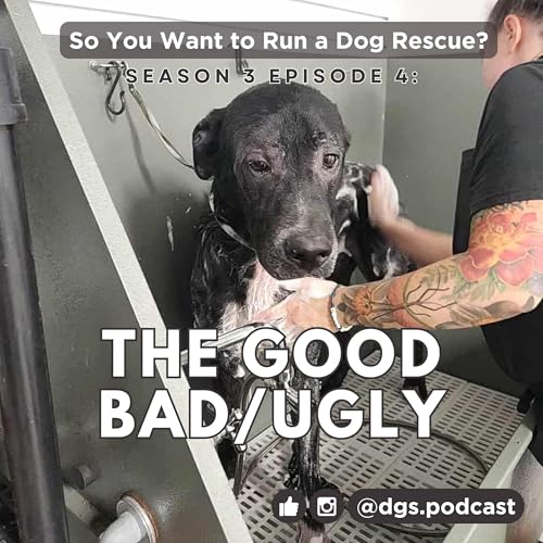 3.4: The Good, the Bad, and the Ugly (Dog Rescue Edition)