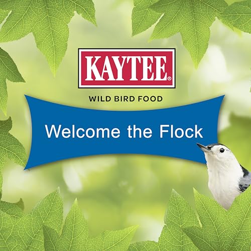 Kaytee Wild Bird Gourmet Seed Cake For Cardinals, Chickadees, Juncos, Titmice, Woodpeckers and More, 2 Pounds - image 6
