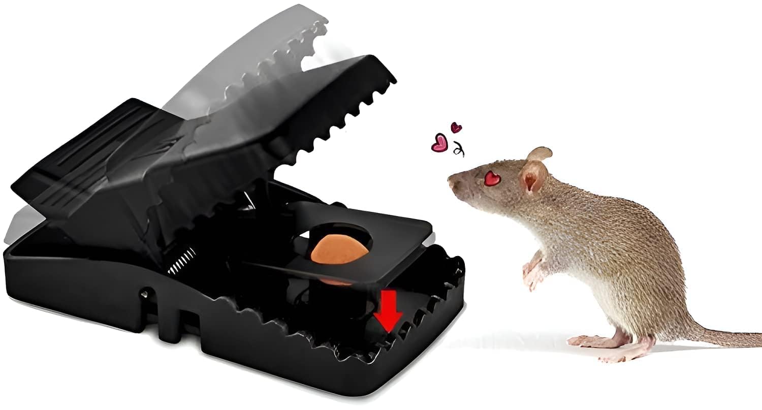 PARTHVI Mouse Trap for mice Control Rat/Mouse/Rodent Trap Mouse Trap | Pack of 1 | Live Trap-picture-13