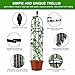 Garden Obelisk Trellis for Climbing Plants Outdoor,2Pack Flower Trellis for Potted Plants, Rustproof Coated Metal Pipe Clematis Trellis for Rose Vine Vegetable Flower Support Indoor Outdoor