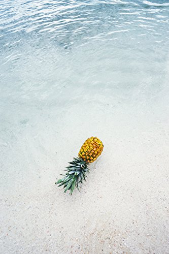 Pineapple String Lights - 6Ft. Per Decorative String Light - 10 Fun Pineapple Fun Lights Per String! Battery Power Supply (Battery Power) #TOP5
