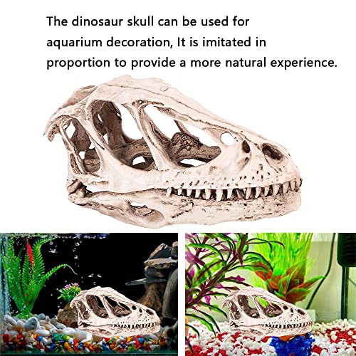 Crânio de dinossauro de resina para decoração de aquário de escritório em casa, decoração de esquele