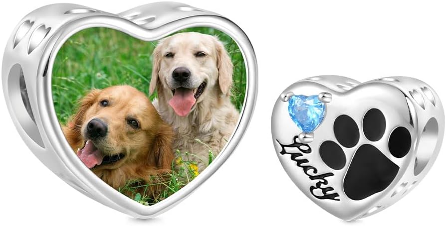 GNOCE Personalized Loving Pet Paw Photo Charm Bracelet for Women, S925 Sterling Silver Dangle Charms for Women Wife, Valentine‘s Day, Mother’s Day Jewelry