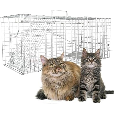Live Animal Trap for Possum, Groundhog,Gopher,Beaver,Folding Raccoon Trap,Humane Live Animal Cage, Humane Small Animal Trap 32 X 12 X 12.5Inch Animal Trap,Catch and Release,Easy to Install and Use Cover