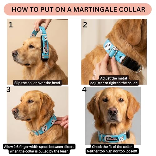 Image of Dog-O-Bow Panda Print Martingale Dog Collar, Durable, Comfortable & Adjustable Training Collar (M)