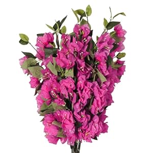 RECUTMS Bougainvillea Artificial Silk Branches Fake Stems Faux Flower Vines Floral Arrangements for Home Decor Wedding Table Centerpieces (Fuchsia)