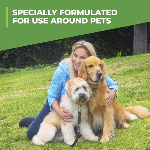 SIMPLE GREEN 432108 Outdoor Odor Eliminator for Dogs, 1 Gallon