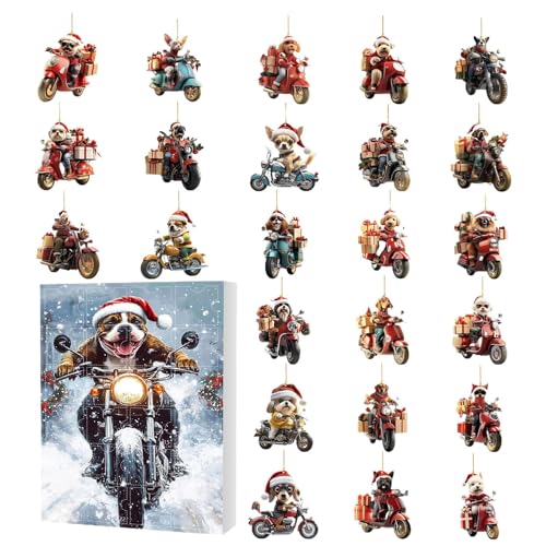 Hkuoeue 2025NNX}XAhxghbO | 24JEg_EJ_[ 2DANȀnoCNI[ig - ʑ    hA  p[eB[ LOi