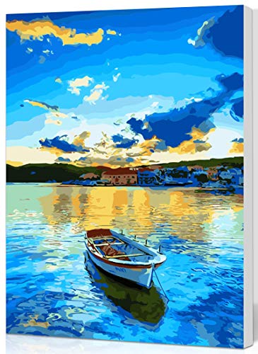 SHUAXIN Paint by Numbers for Adult,DIY Paint by Number Kits for Kids Beginner
