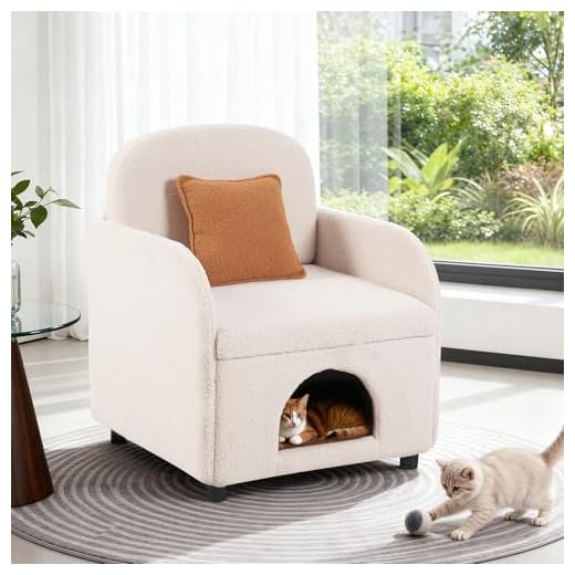 2-in-1 Pet Friendly Armchair