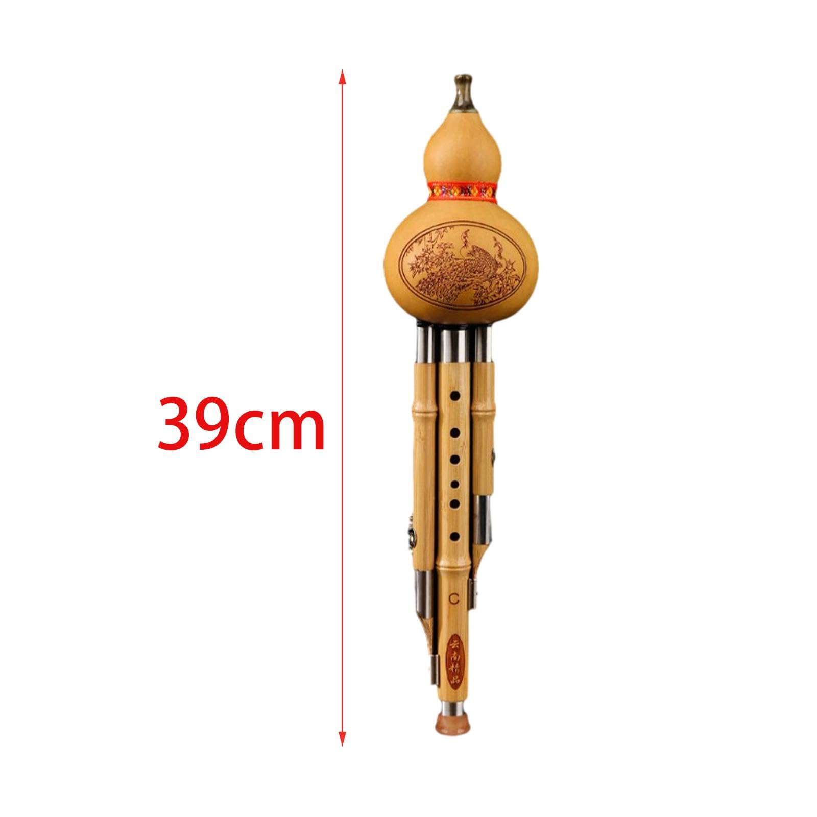 Rockible Hulusi flûte instrument de musique chinois en bambou avec étui clé C