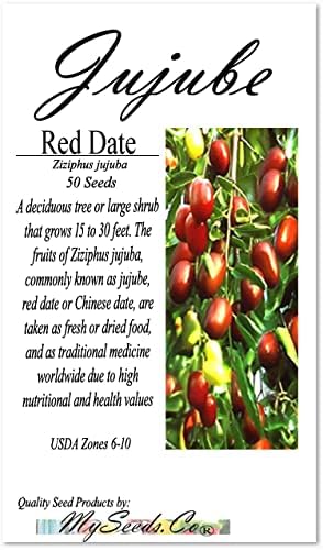 Miniatura 9 de MySeeds.Co - BIG PACK Seeds MySeeds.Co - Paquete grande de semillas de jardín de frutas de flores de supervivencia, exóticas, raras, sin OMG y