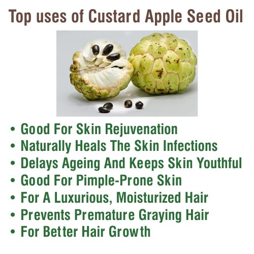 Image of B-URBAN Custard Apple Seed Oil 100% Natural Pure Undiluted Uncut Carrier Oil 30ml