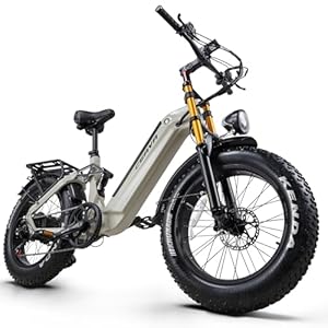 CEAYA E-bike voor dames en heren, 20 inch met 48 V 20 Ah accu, 7 versnellingen, dubbele vering, dubbele schijfrem, fat e bike