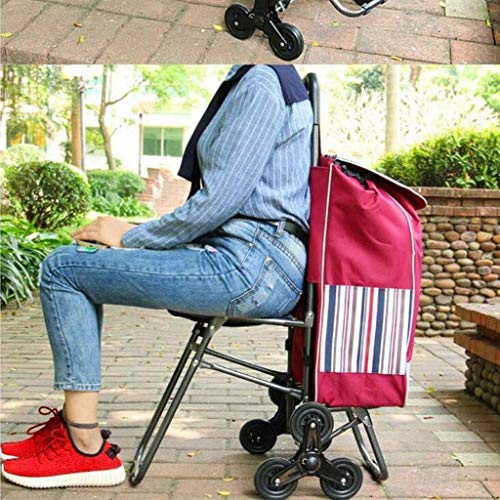 Carrito Carro Carro De Compras Multifunción Carro con 6 Ruedas Carro De Supermercado para Ancianos Plegable De Aleación De Aluminio Portátil con Almacenamiento De Placa De Asiento Carretillas De Mano - imagen 2