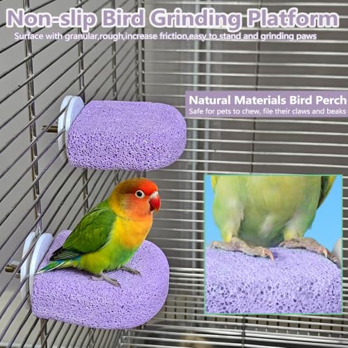 Image of 4Pack Bird Perch Stands Parrot Beak Grinding Stone Platform,Purple-S | Parakeet Foot Claws Trimmer,Calcium Perch Climbing Chewing Toys for Small Medium Birds Cockatiel Conure Lovebird Budgie