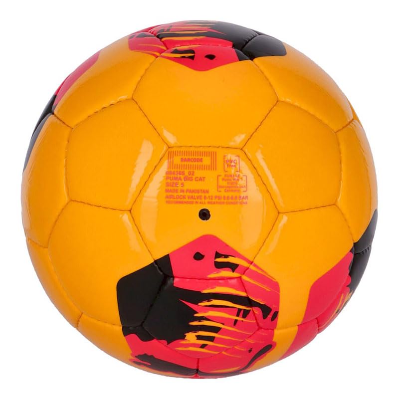 Puma PowerCat サッカーボール サイン入り Puma PowerCat サッカー