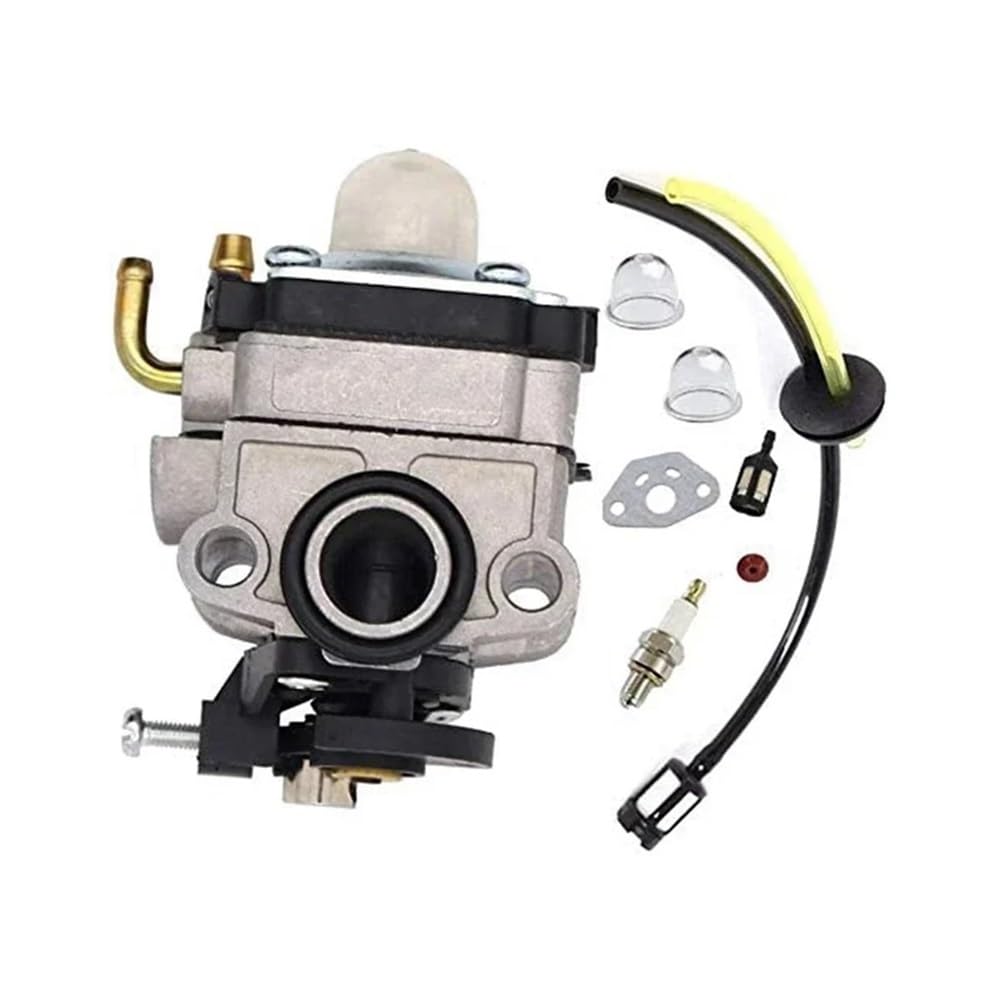 Carburateur 309375002 optimise le démarrage du moteur RY34007 avec durite et poire