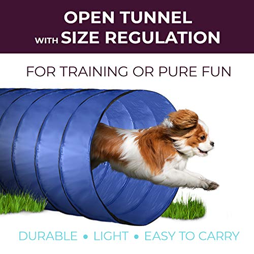 Dog Agility Training Equipment, Complete Set, Dog Tunnel, Jump, Hurdle, Hoop, Weave Poles Dog Obstacle Course, Backyard, Indoor, Outdoor - Thumbnail 6