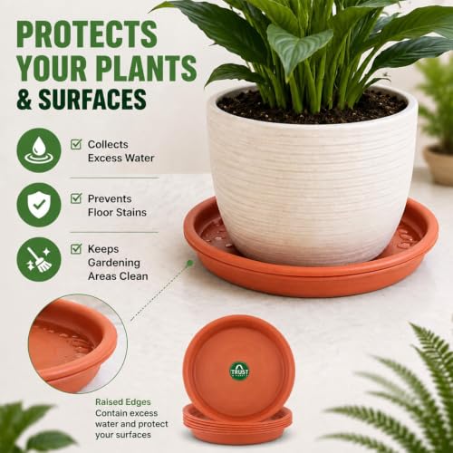 Image of TrustBasket UV Treated Bottom Tray(Plate /Saucer) Suitable for 6 inch Plastic Pot - Terracotta Color - Set of 12