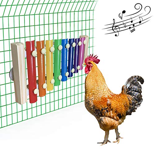 Playable Chicken Xylophone Enhance Your Backyard Coop