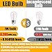 52FT Outdoor LED String Lights Shatterproof UL Listed 2FT Spacing with 26 Plastic Bulbs, Commercial Grade Hanging Lights String 24 Sockets, Decorative Patio Lights for Backyard Garden Party Bistro