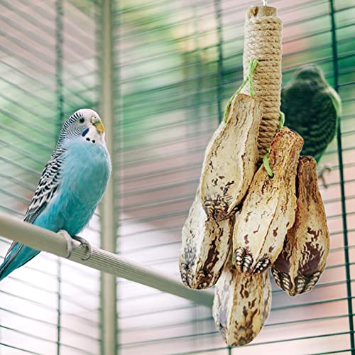 mastigar para pássaros grandes | Parakeet Swing Hangings Ring Bird Branch Chew Parrot Toys - Artigos