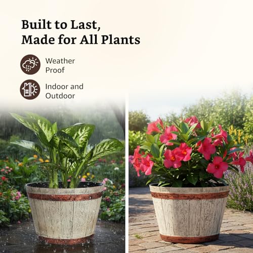 Image of Amazon Brand- Solimo Indoor and Outdoor Round 18 Inch Barrel Flower Planter Pot Best for Terrace /Balcony /Home /Office Decor - Set of 2