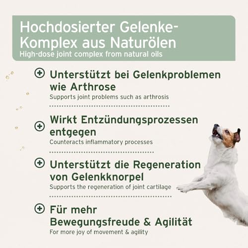 AniForte Arthro Omega Öl für Hunde 250ml - bei Osteoarthritis, Hund Arthrose & Gelenkentzündung, Hund Gelenkschmerzen, 100% Naturöl für Hundegelenke statt Gelenktabletten