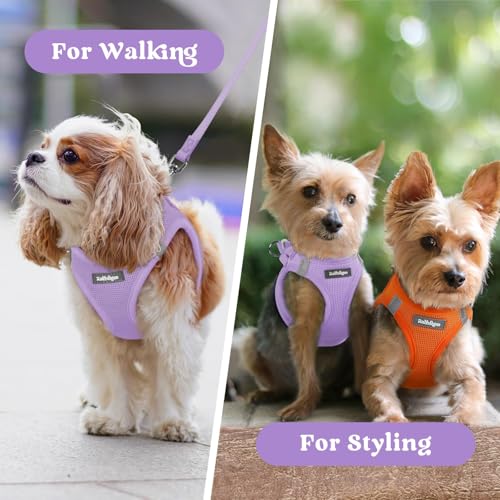 rabbitgoo Small Dog Harness, Step-in Soft Mesh Puppy Vest with Safety Buckle, Breathable Reflective Pet Harness for Small Sized Dogs, Light Purple S by rabbitgoo - Image 9