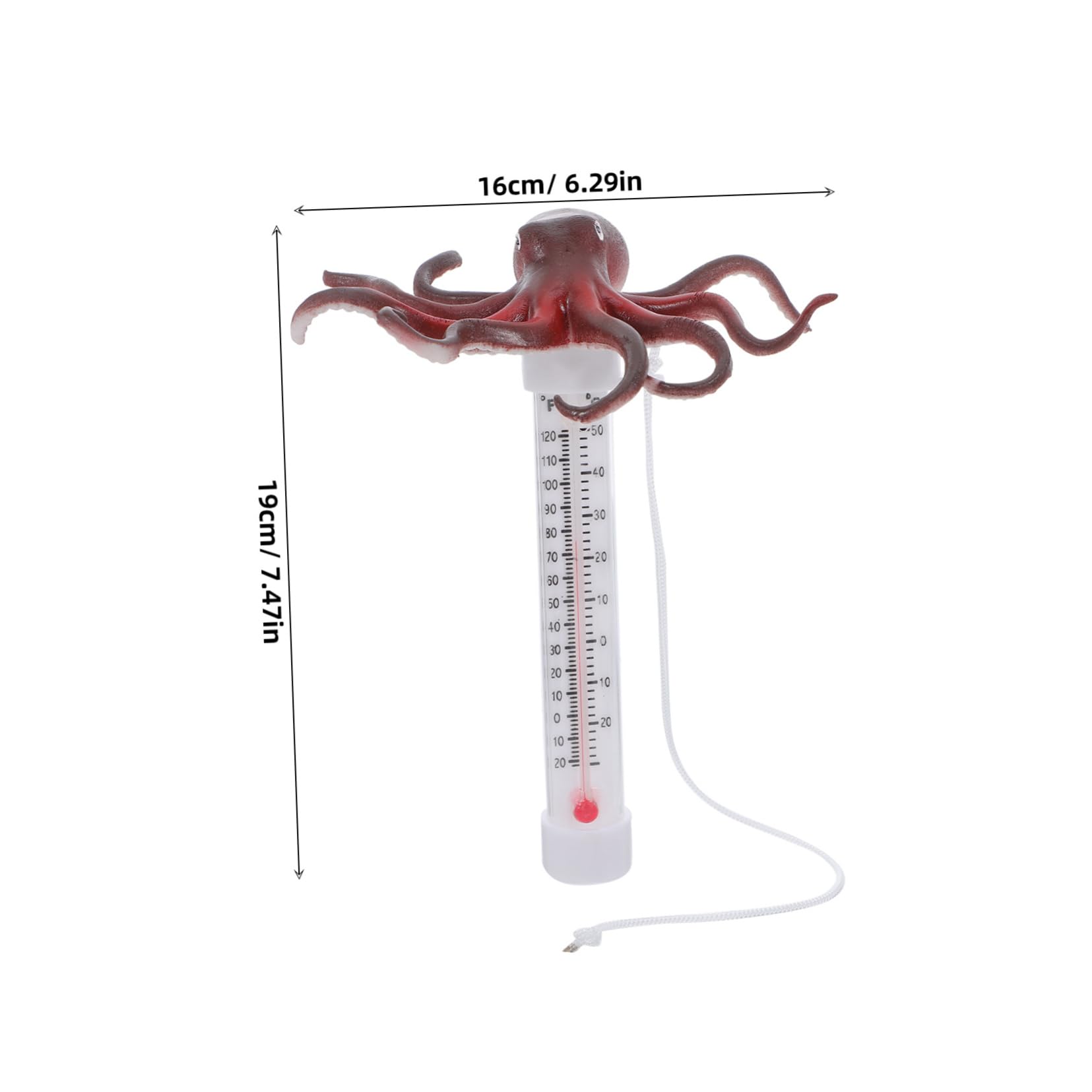 Toyvian Termometro Galleggiante per Forma Misuratore Temperatura per Spa Vasche e Acquari Facile e Utilizzo Design Adatto AI Accuratezza Garantita