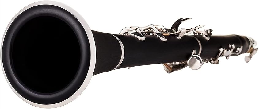 TSTS 17 Key Clarinet B Flat Clarinet Beginner Examination Professional Performance Professional Woodwind Instrument Clarinet for Beginner
