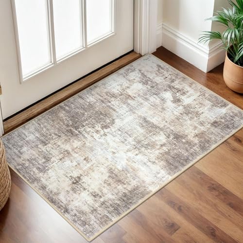 IOHOUZE Small Abstract Area Rug 2x3 Ft Entryway Rugs Washable