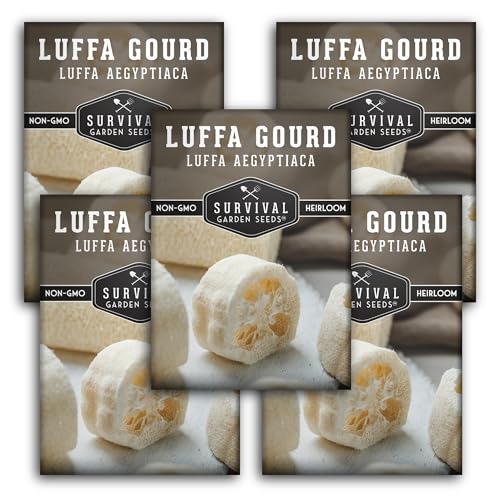 Survival Garden Seeds - Luffa or Loofah Seed for Planting - 5 Packets with Instructions to Plant and Grow Ornamental Gourds in Your Home Vegetable Garden - Non-GMO Heirloom Variety