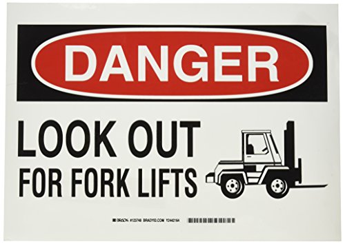 Brady 123748 }VƃIy[ViTCAWFhutH[NtgTvA25.4cmA35.6cmAnɍƐ