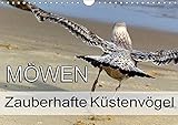  Möwen - Zauberhafte Küstenvögel (Wandkalender 2019 DIN A4 quer): Faszinierende Möwen an der Ostsee (Monatskalender, 14 Seiten )