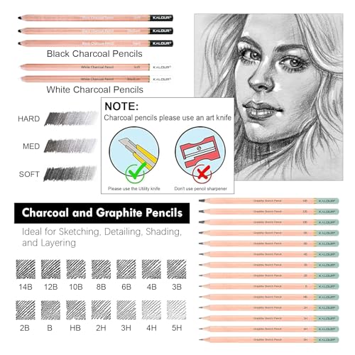 KALOUR PDAS 39pcs Drawing Pencils Set, Professional Sketch Pencils (5H-14B), Black and White Charcoal Pencils for Sketching, Eraser Brush Pen, Charcoal Sticks, Art Pencils Set for Artists & Beginners