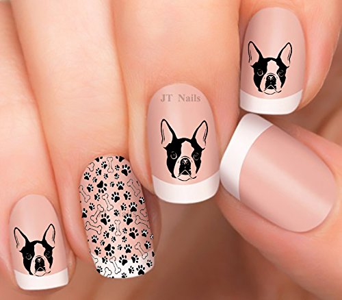 Boston Terrier Design #2 Nail Art Decals