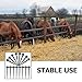 Ipetboom 50Pcs Iron Horseshoe Nails for Hoof Care, Durable Low Carbon Steel Horse Accessories with Sharp Beveled Design for Easy Application Farrier Tools for Daily Use