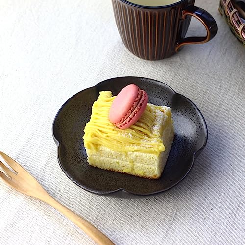 cerapockke Ԍ^ΏM 13.5cm { Z M M aM ێM M Е ݖ M 蕪M HM t v[g H \݌Ɍ