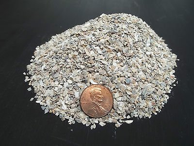 Fertilizante orgánico de concha de ostra molida - 1 LB fino - compost para verduras, flores y árboles miniatura 1