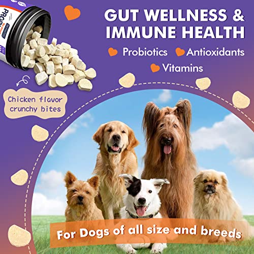 Probiotics For Dogs, Dog Probiotics And Digestive Enzymes, With Prebiotic For Digestive Health, Dog Vitamins For Immune & Skin Health, Omega-3 For Allergy & Itch Relief, 120 Chicken Flavored Chews #TOP3