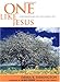 One Like Jesus: Conversations on the Single Life
