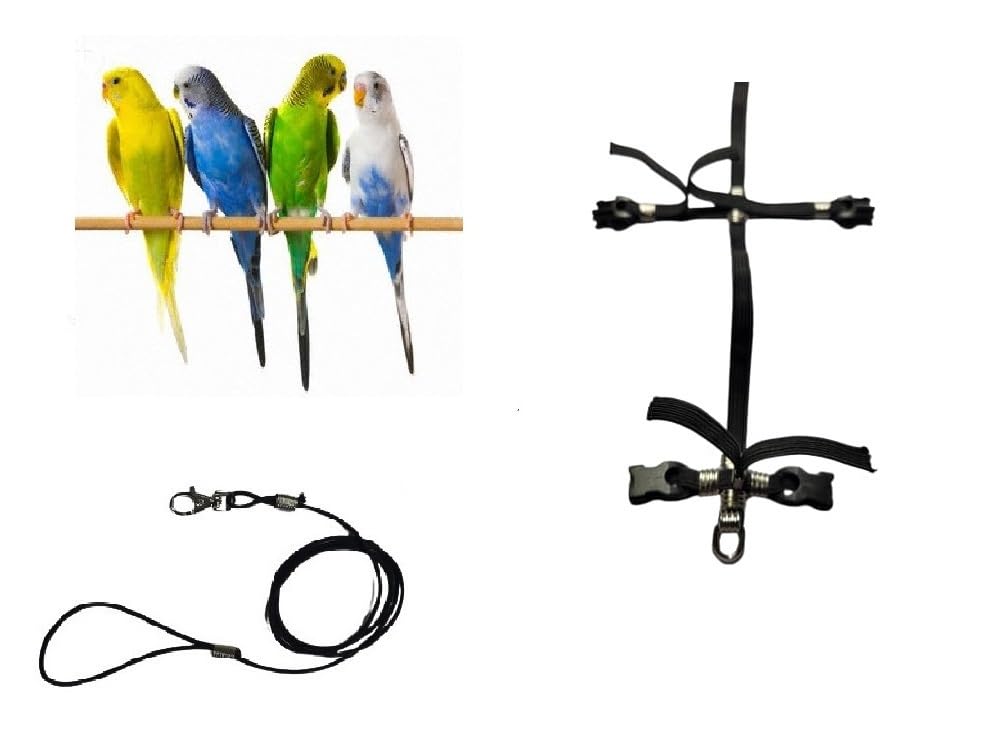 Cinta elástica de 6 mm Petorina para loros tamaño cocorite con dos fijaciones fuertes de plástico