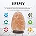 HOMY LED USB Himalayan Salt Lamp with Wood Base Multi Color Changing Small Air Purifier and Ionizer about 4.7 Inches 1.5 lbs No Installation Required Great Decor For Home Office Hotel