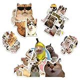 autocollant pc portable acer FACILES À UTILISER : Nettoyez la surface, retirez le film protecteur, collez fermement et laissez sécher. Réutilisables, nos autocollants Scrapbooking materiel se retirent sans abîmer les objets ni laisser de traces, et peuvent même masquer les rayures.