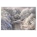 Produktbild Vliestapete Winter Song Premium, HxB: 225cm x 336cm