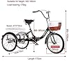 WRHOPR Adults Tricycle 3 Wheel Cruiser Trike Bikes, Adult Folding Tricycles, 1 Speed Adult Trikes, 16/20 inch 3 Wheel Bikes with Low Step-Through, Foldable Tricyc #2